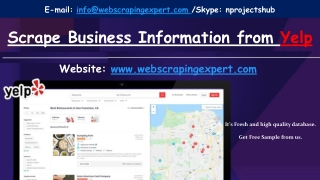 Scrape Business Information from Yelp