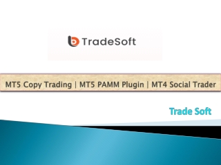 MT5 Copy Trading | MT5 PAMM Plugin | MT4 Social Trader