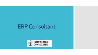 ERP Consultant
