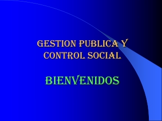 GESTION PUBLICA 2013 (3)