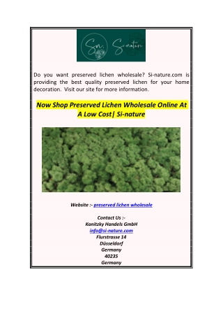 Now Shop Preserved Lichen Wholesale Online At A Low Cost Si-nature