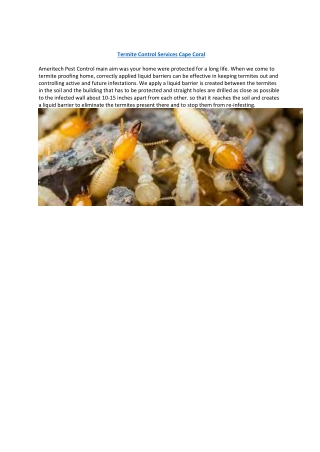 Termite Control Services Cape Coral