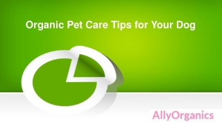 Organic Pet Care Tips for Your Dog