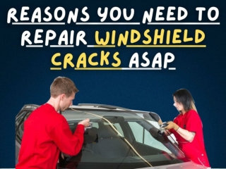 Reasons You Need To Repair Windshield Cracks ASAP