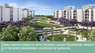 Birla Navya 3 BHK Sample Apartment Video, Birla Navya Gurgaon 3 BHK Terrace Layo