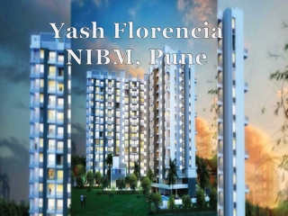 Yash Florencia| Call: 8448272360