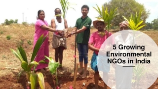 5 Growing Environmental NGOs in India