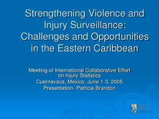 Strengthening Violence and Injury Surveillance: Challenges and Opportunities in the Eastern Caribbean