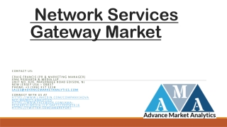 Network Services Gateway Market