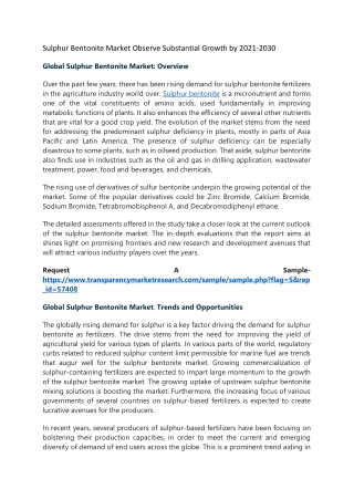 Sulphur Bentonite Market Observe Substantial Growth by 2021-2030