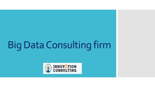 Big Data Consulting Firm