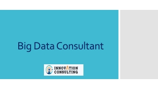 Big Data Consultant