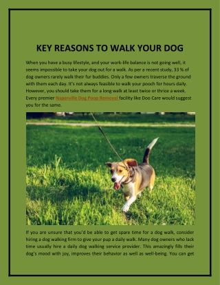 KEY REASONS TO WALK YOUR DOG