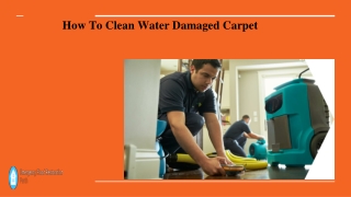 How To Clean Water Damaged Carpet canberra