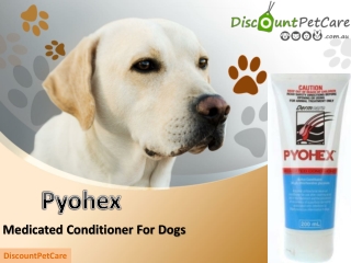 Buy Pyohex Conditioner For Dogs Online - DiscountPetCare