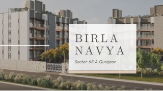 Birla Navya 4 BHK With Basement Price, Birla Navya Gurgaon NRI Bookings