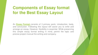 Components of Essay format for the Best Essay Layout