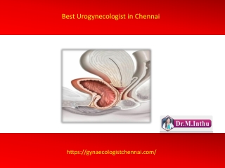 Best Urogynecologist in Chennai