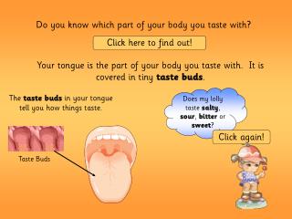 Do you know which part of your body you taste with?