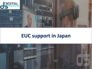 EUC support in Japan