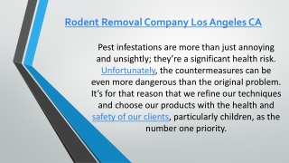 Rodent Removal Company Los Angeles CA