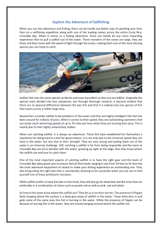 Explore the Adventure of Sailfishing