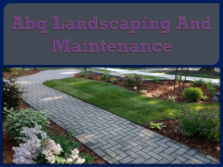 Abq Landscaping And Maintenance