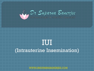 What is IUI or Intrauterine Insemination?