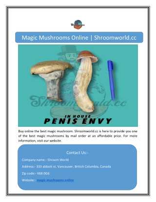 Magic Mushrooms Online | Shroomworld.cc