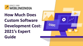 Custom Software Development Cost: 2021’s Expert Guide