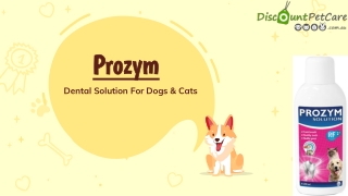 Buy Prozym Dental Solution For Dogs and Cats Online - DiscountPetCare