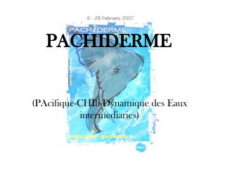 PACHIDERME