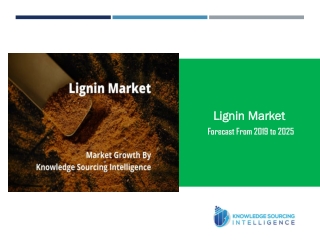 Lignin Market Set to Witness Magnificent Grow and Competitive Outlook