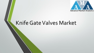 Knife Gate Valves Market
