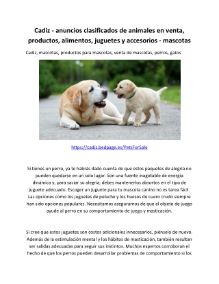 Cadiz - anuncios clasificados de animales en venta, productos, alimentos, juguetes y accesorios - mascotas-converted