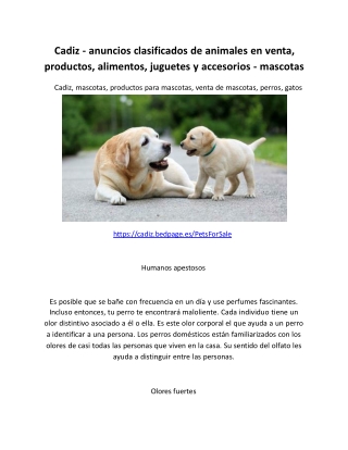 Cadiz - anuncios clasificados de animales en venta, productos, alimentos, juguetes y accesorios - mascotas