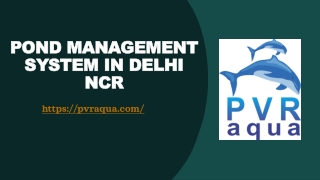 Pond Management System in Delhi NCR