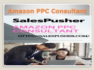 Amazon PPC Consultant