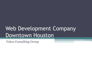 Web Development Company Downtown Houston