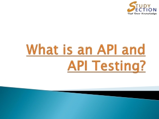 What is an API and API Testing?
