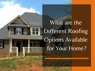 What are the Different Roofing Options Available for Your Home?