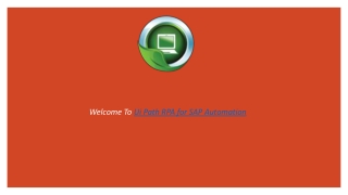 Ui Path RPA for SAP Automation