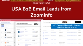 USA B2B Email Leads from ZoomInfo