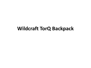 Wildcraft TorQ Backpack