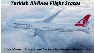 Turkish airlines flight status