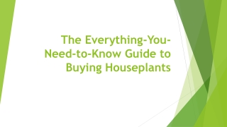 The Everything-You-Need-to-Know Guide to Buying Houseplants
