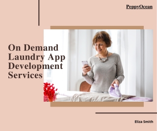 On Demand Laundry App Development Services (1)