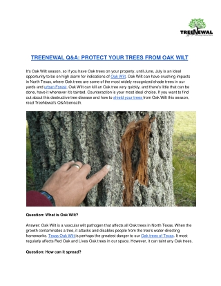 TREENEWAL Q&A_ PROTECT YOUR TREES FROM OAK WILT