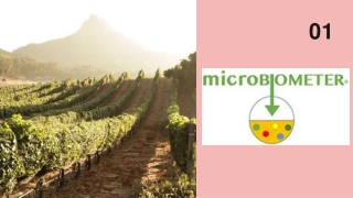 Micro Biometer - Real-Time Soil Testing