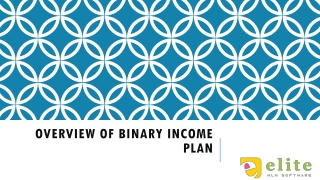 Overview of Binary Income Plan